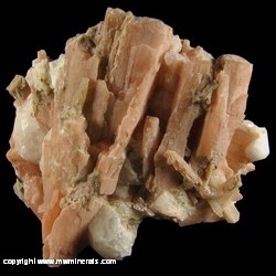 Minerals Specimen: Serandite, Analcime from Poudrette Quarry, Mont Saint-Hilaire, Rouville RCM, Monteregie, Quebec, Canada