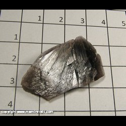 Mineral Specimen: Axinite-Fe from New Melones Dam, Copperopolis, Calaveras Co, California Mineral Specimen: Axinite-Fe from New Melones Dam, Copperopolis, Calaveras Co, California