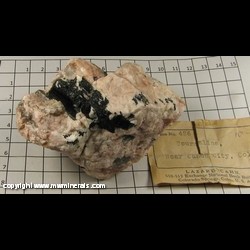 Mineral Specimen: Tourmaline from near Canon City, Colorado Mineral Specimen: Tourmaline from near Canon City, Colorado