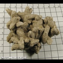 Mineral Specimen: Calcite variety: Sand from Rattlesnake Butte, Jackson Co, South Dakota Mineral Specimen: Calcite variety: Sand from Rattlesnake Butte, Jackson Co, South Dakota
