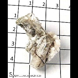 Mineral Specimen: Danburite, Calcite from Charcas, San Luis Potosi, Mexico