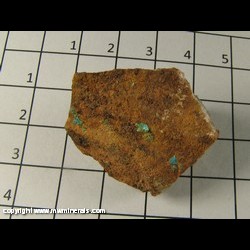 Mineral Specimen: Sampleite from Endeavour 26, Northparkes Mine, Kennedy Co, New South Wales, Australia Mineral Specimen: Sampleite from Endeavour 26, Northparkes Mine, Kennedy Co, New South Wales, Australia