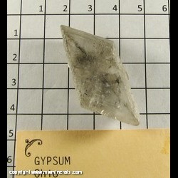 Mineral Specimen: Selenite Twin (Gypsum) from Ohio Mineral Specimen: Selenite Twin (Gypsum) from Ohio