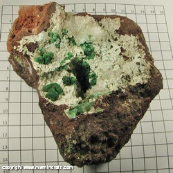 Mineral Specimen: Malachite from Mexico Mineral Specimen: Malachite from Mexico
