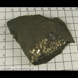 Minerals Specimen: Pyrite from Avron Slate Quarry, Avron, Baraga Co, Michigan Minerals Specimen: Pyrite from Avron Slate Quarry, Avron, Baraga Co, Michigan