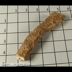 Minerals Specimen: Fulgurite from Madagascar Minerals Specimen: Fulgurite from Madagascar