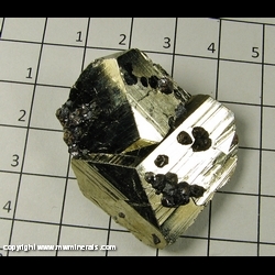 Minerals Specimen: Sphalerite on Pyrite from Huanzala, Peru Minerals Specimen: Sphalerite on Pyrite from Huanzala, Peru