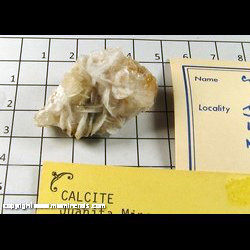 Mineral Specimen: Calcite from Juanita Mine, Socorro Co, New Mexico Mineral Specimen: Calcite from Juanita Mine, Socorro Co, New Mexico