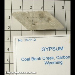 Minerals Specimen: Selenite Twin (Gypsum) from Coal Bank Creek, Carbon Co, Wyoming Minerals Specimen: Selenite Twin (Gypsum) from Coal Bank Creek, Carbon Co, Wyoming