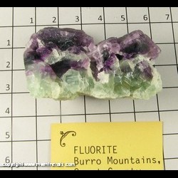 Minerals Specimen: Fluroite from Burro Mts, Grant Co, New Mexico, Minerals Specimen: Fluroite from Burro Mts, Grant Co, New Mexico,