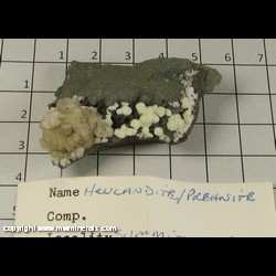 Mineral Specimen: Heulandite, Prehnite from Springfield Twp. (near Summit), Union Co, New Jersey Mineral Specimen: Heulandite, Prehnite from Springfield Twp. (near Summit), Union Co, New Jersey