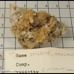 Mineral Specimen: Stilibte, Heulandite from Springfield Twp. (near Summit), Union Co,  New Jersey