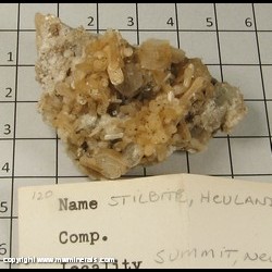 Mineral Specimen: Stilibte, Heulandite from Springfield Twp. (near Summit), Union Co,  New Jersey