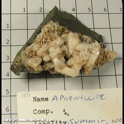 Minerals Specimen: Apophyllite from Springfield Twp. (near Summit), Union Co, New Jersey Minerals Specimen: Apophyllite from Springfield Twp. (near Summit), Union Co, New Jersey