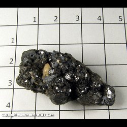 Mineral Specimen: Sphalerite, Calcite, Galena from Gilpin Co, Colorado Mineral Specimen: Sphalerite, Calcite, Galena from Gilpin Co, Colorado