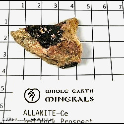 Mineral Specimen: Allanite-(Ce) from Red Rock Prospect, Washoe Co,  Nevada