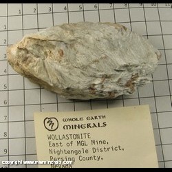 Mineral Specimen: Wollastonite from East of MGL Mine, Nightingale District, Pershing Co, Nevada, USA Mineral Specimen: Wollastonite from East of MGL Mine, Nightingale District, Pershing Co, Nevada, USA