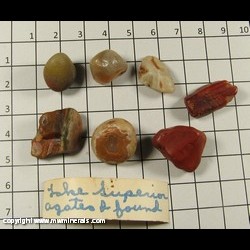 Mineral Specimen: Lake Superior Agates from Upper Peninsula, Michigan