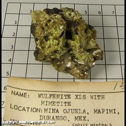 Mineral Specimen: Wulfenite (crystals incomplete), Mimetite from Mina Ojuela, Mapimi, Durango, Mexico