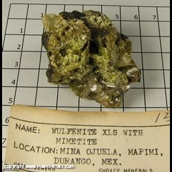 Mineral Specimen: Wulfenite (crystals incomplete), Mimetite from Mina Ojuela, Mapimi, Durango, Mexico