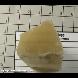 Mineral Specimen: Ulexite (TV Stone) Ends are sawn from Death Valley, Inyo Co, California Mineral Specimen: Ulexite (TV Stone) Ends are sawn from Death Valley, Inyo Co, California