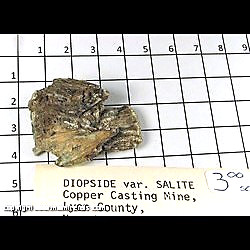 Mineral Specimen: Diopside variety: Salite from Casting Copper Mine, Lyon Co, Nevada Mineral Specimen: Diopside variety: Salite from Casting Copper Mine, Lyon Co, Nevada