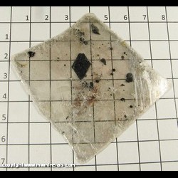Mineral Specimen: Biotite Crystals in Muscovite from Bancroft area, Ontario, Canada Mineral Specimen: Biotite Crystals in Muscovite from Bancroft area, Ontario, Canada