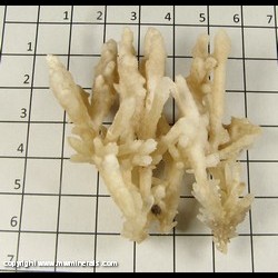 Mineral Specimen: Calcite from Chihuahua, Mexico Mineral Specimen: Calcite from Chihuahua, Mexico