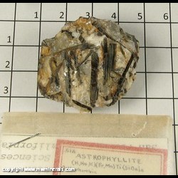 Mineral Specimen: Astrophyllite from Mt. Rosa, El Paso Co, Colorado Mineral Specimen: Astrophyllite from Mt. Rosa, El Paso Co, Colorado