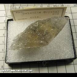 Mineral Specimen: Selenite Crystal from Oklahoma Mineral Specimen: Selenite Crystal from Oklahoma