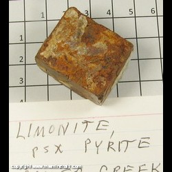Mineral Specimen: Limonite Pseuodomorph after Pyrite from Coker Creek Dist,  Monroe Co,  Tennessee