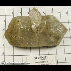 Mineral Specimen: Selenite, Double terminated Twin from Wendelbury near Oxford, Oxfordshire, England