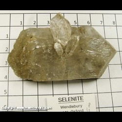 Mineral Specimen: Selenite, Double terminated Twin from Wendelbury near Oxford, Oxfordshire, England Mineral Specimen: Selenite, Double terminated Twin from Wendelbury near Oxford, Oxfordshire, England