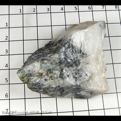 Mineral Specimen: Schorl Tourmaline, Quartz, Pyrite, Specular Hematite (bottom) from Champion Mine, Champion, Marquette Co,  Michigan