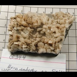 Minerals Specimen: Stilbite coated with Micro Calcite Crystals from Martin Marietta Quarry, Hickory, Catawba Co, North Carolina Minerals Specimen: Stilbite coated with Micro Calcite Crystals from Martin Marietta Quarry, Hickory, Catawba Co, North Carolina