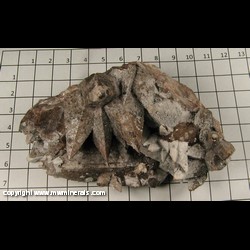 Mineral Specimen: Calcite from Chihuahua, Mexico Mineral Specimen: Calcite from Chihuahua, Mexico