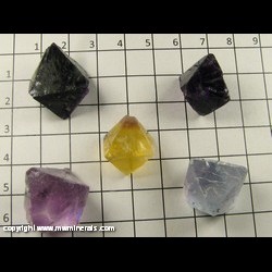 Minerals Specimen: Fluorite Octhahedrons (one with included Chalcopyrite) from Cave-In-Rock, Hardin Co, Illinois, USA Minerals Specimen: Fluorite Octhahedrons (one with included Chalcopyrite) from Cave-In-Rock, Hardin Co, Illinois, USA