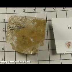 Minerals Specimen: Fluorite from May Stone Quarry, Fort Wayne, Allen Co, Indiana Minerals Specimen: Fluorite from May Stone Quarry, Fort Wayne, Allen Co, Indiana