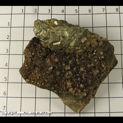 Mineral Specimen: Pyrite from Rensselaer Quarry, Pleasant Ridge, Jasper Co,  Indiana