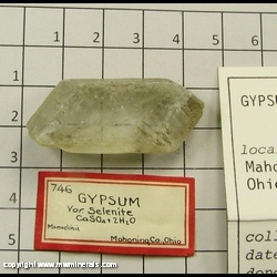 Mineral Specimen: Selenite from Mahoning Co, Ohio Mineral Specimen: Selenite from Mahoning Co, Ohio