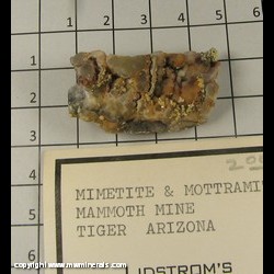 Minerals Specimen: Mimetite, Mottramite from Mammoth-Saint Anthony Mine, Tiger, Pinal Co, Arizona Minerals Specimen: Mimetite, Mottramite from Mammoth-Saint Anthony Mine, Tiger, Pinal Co, Arizona