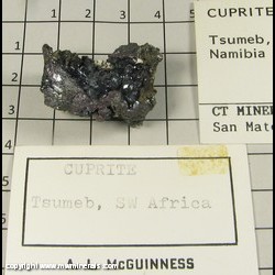 Mineral Specimen: Cuprite Crystals from Tsumeb, Namibia Mineral Specimen: Cuprite Crystals from Tsumeb, Namibia