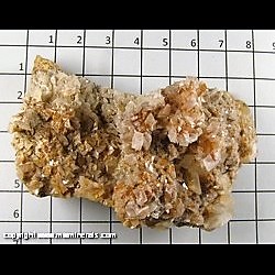 Mineral Specimen: Calcite Twinned Crystals on Dolomite from Missouri Hwy. 34 roadcut, Patterson, Wayne Co,  Missouri