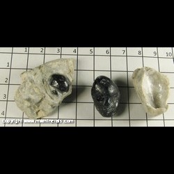 Minerals Specimen: Apache Tears (Obsidan) in Perlite from Ruby Mountain, Nathrop, Chaffee Co, Colorado Minerals Specimen: Apache Tears (Obsidan) in Perlite from Ruby Mountain, Nathrop, Chaffee Co, Colorado