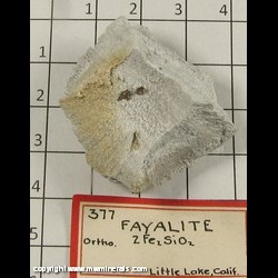 Minerals Specimen: Fayalite on Cristabolite from Little Lake, Sugarloaf Mt, China Lake Naval Ordnance Test Station, Coso Dist, Coso Mts, Inyo Co, California Minerals Specimen: Fayalite on Cristabolite from Little Lake, Sugarloaf Mt, China Lake Naval Ordnance Test Station, Coso Dist, Coso Mts, Inyo Co, California