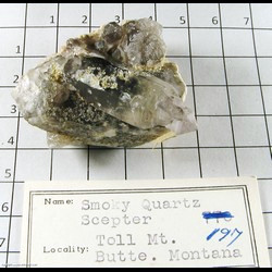 Mineral Specimen: Smoky Quartz Crystal with Reverse light Amehtyst Scepter from Toll Mt,  Butte, Silver Bow Co.,  Montana