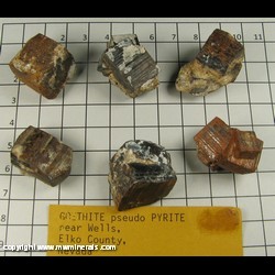 Mineral Specimen: Goethite Pseudomorph after Pyrite (6 specimens) from near Wells, Elko Co, Nevada Mineral Specimen: Goethite Pseudomorph after Pyrite (6 specimens) from near Wells, Elko Co, Nevada