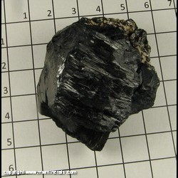 Mineral Specimen: Schorl Tourmaline from Santa Cruz, Mun. de Santa Cruz, Sonora, Mexico