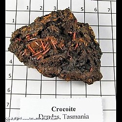 Mineral Specimen: Crocoite from Dundas, Tasmania, Australia Mineral Specimen: Crocoite from Dundas, Tasmania, Australia
