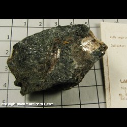 Minerals Specimen: Lamprophyllite, Aegirine from Kukisvumchorr Mt, Khibiny Massif, Kola Peninsula, Murmanskaja Oblast', Northern Region, Russia Minerals Specimen: Lamprophyllite, Aegirine from Kukisvumchorr Mt, Khibiny Massif, Kola Peninsula, Murmanskaja Oblast', Northern Region, Russia
